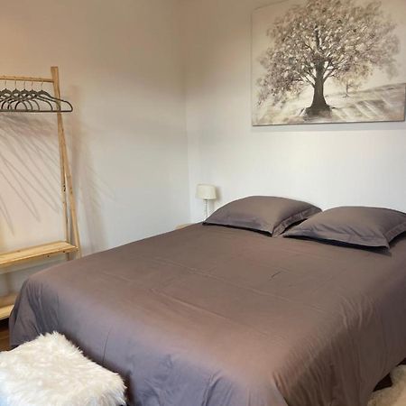 Les Appartements Du Cep'T Mazamet Luaran gambar