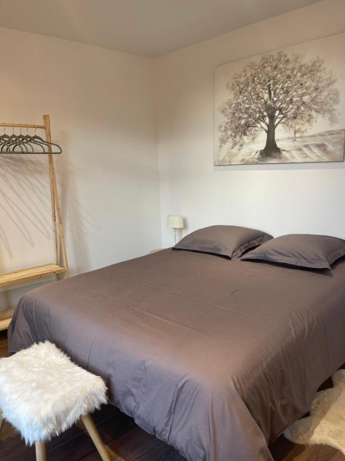 Les Appartements Du Cep'T Mazamet Luaran gambar